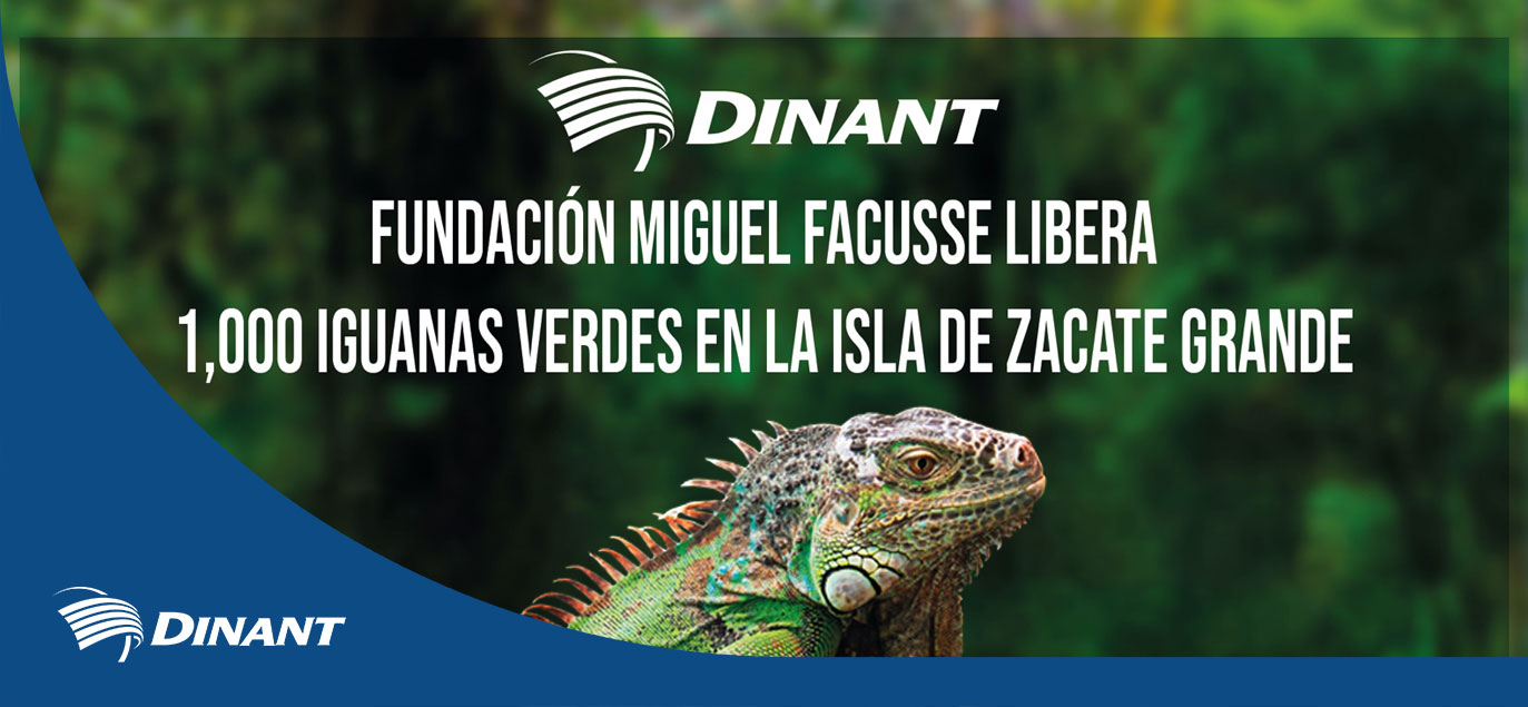 Fundación Miguel Facusse Libera 1.000 Iguanas Verdes en la Isla de Zacate Grande